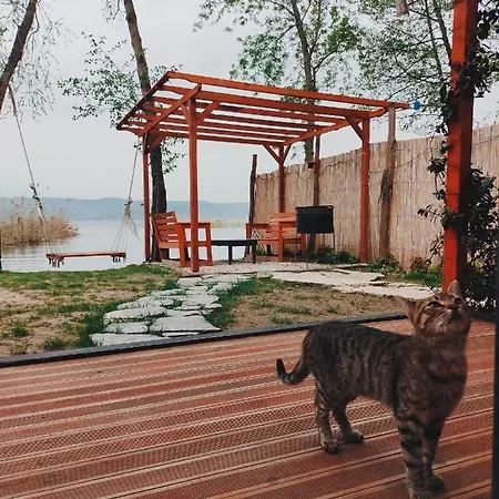 Alcedo Bungalov * Sapanca