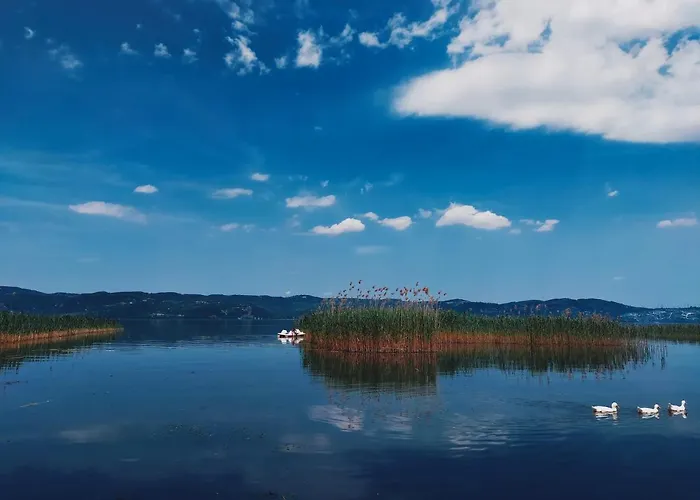 Alcedo Bungalov Rezort Sapanca