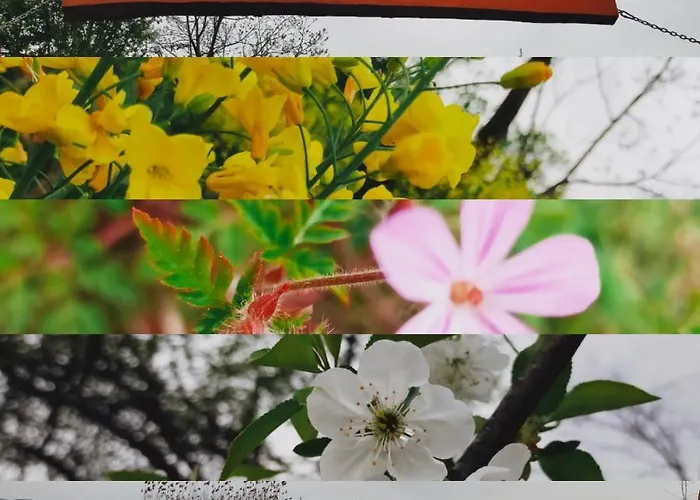 Rezort Alcedo Bungalov Sapanca