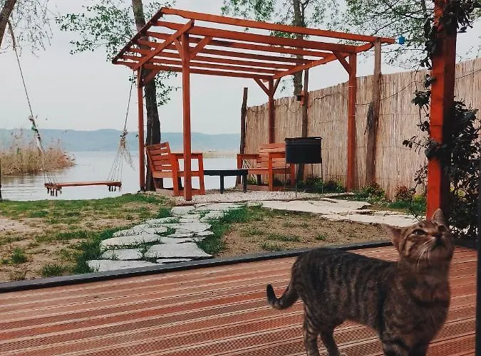 Alcedo Bungalov * Sapanca